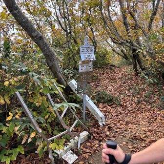 粟ヶ岳への分岐点