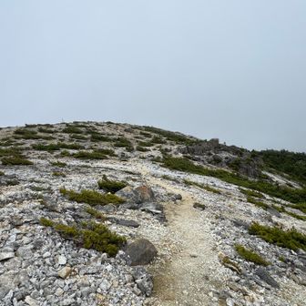 中天狗山頂へ