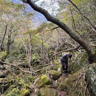 下山、長いねぇ。。。