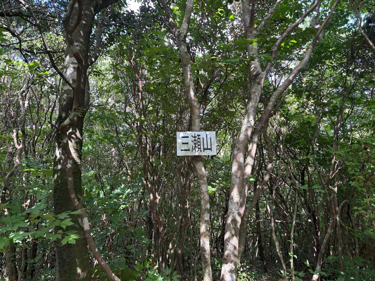 金山登山口-アゴ坂峠-城ノ山-三瀬峠 縦走コースの写真
