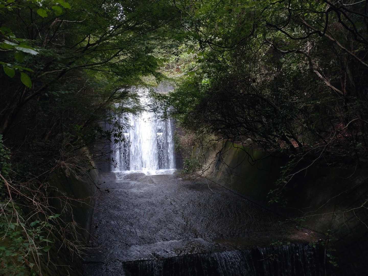 堰堤マン👾　
