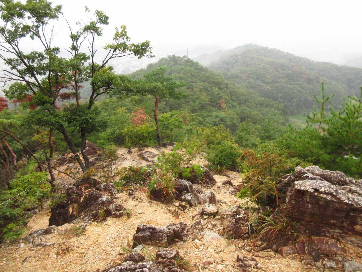 下りの登山道[両崖山展望台～明石山山頂]
