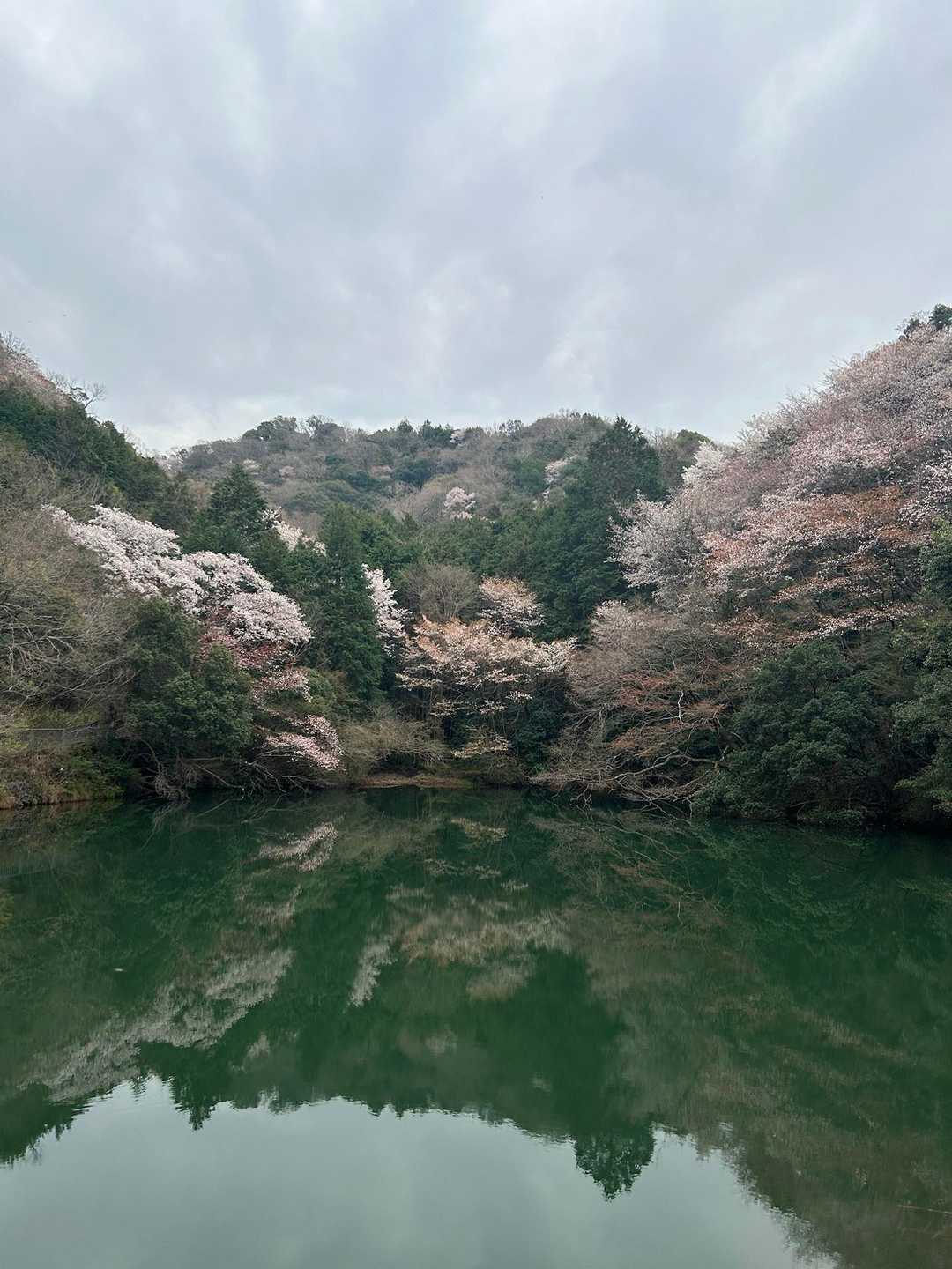 雨山 周回コースの写真