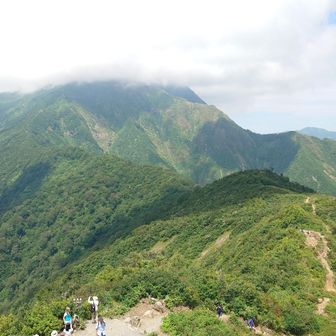 左奥山頂への稜線路がよく見えます
