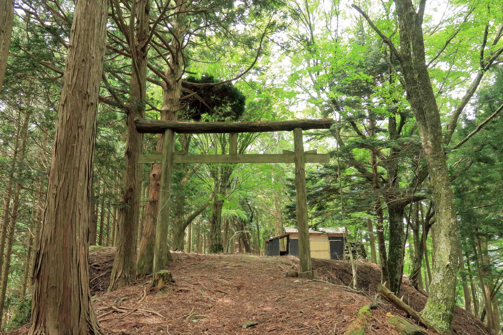 久薮登山口-秋葉山-津志嶽 往復コースの写真