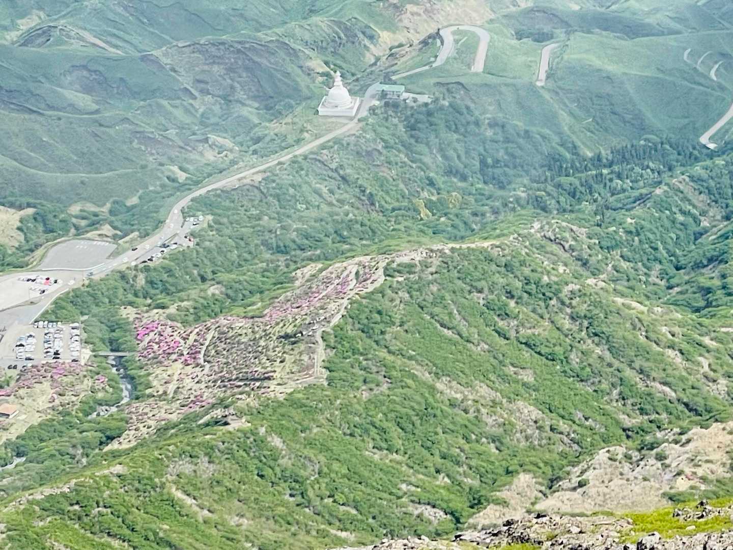 雲の切れ間から仙酔峡と仏舎利塔

ミヤマキリシマうっすらピンク

下山したら行きます🚗