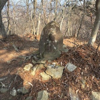 何とか蜂倉山山頂到着です