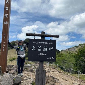 新しくなってた道標
今日は誰もいませんでした😌
