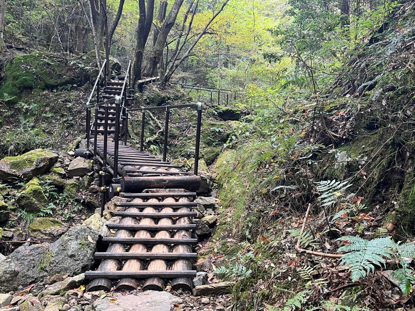 整備されている登山道
森林公園内だからかな