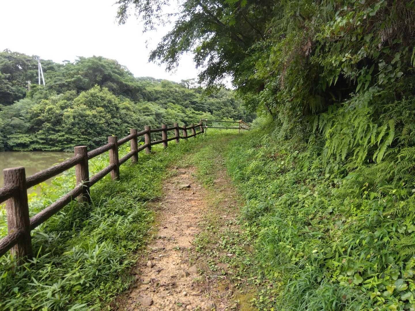 城山 往復コースの写真
