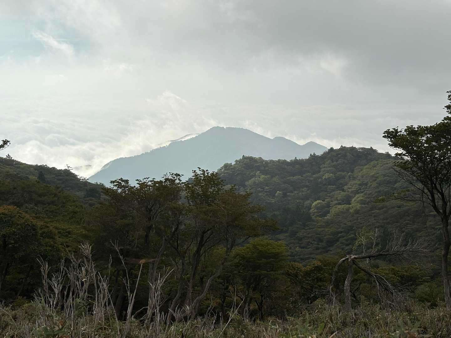シルエットの雲母峰がカッコいい！雲母峰の向こうは未だ大雲海*\(^o^)/*