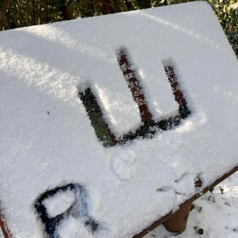 一応Ｒを付け加えまちた®️