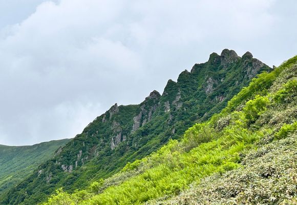 273号線側登山口～ニセイカウシュッペ山（往復） / しみまんの登山