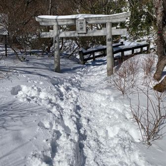 毎度の鳥居をくぐります