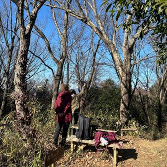 富岡山頂はこんな感じです。