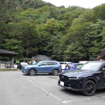 女夫渕🅿️スターツ 奥鬼怒温泉郷♨️へのお客さんの車が多数停まっています