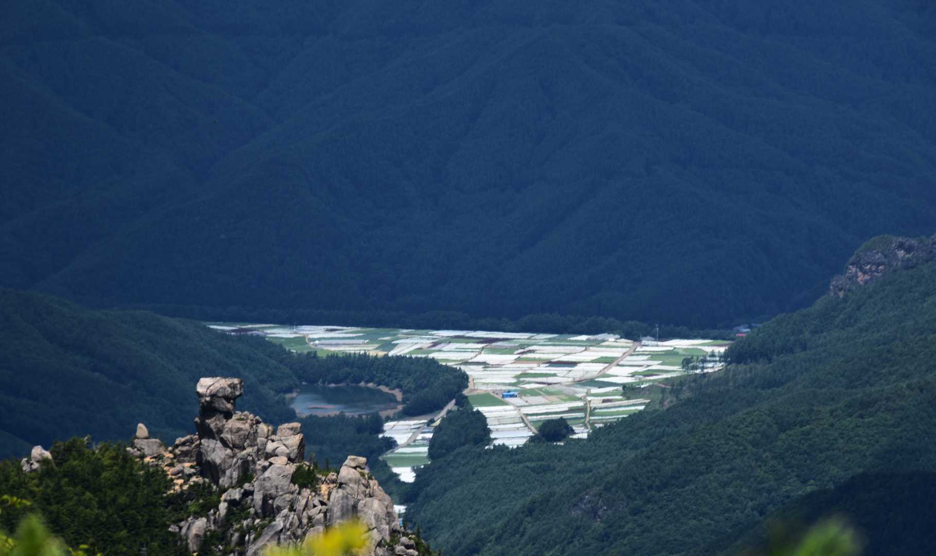 今回お世話になった川上村
白色はレタス畑のマルチ
雪と間違える人もあるとか?