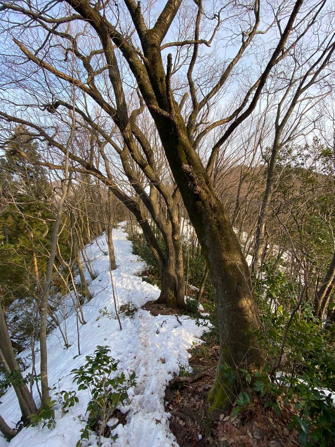 ちょっと気取ってみましょうか😁