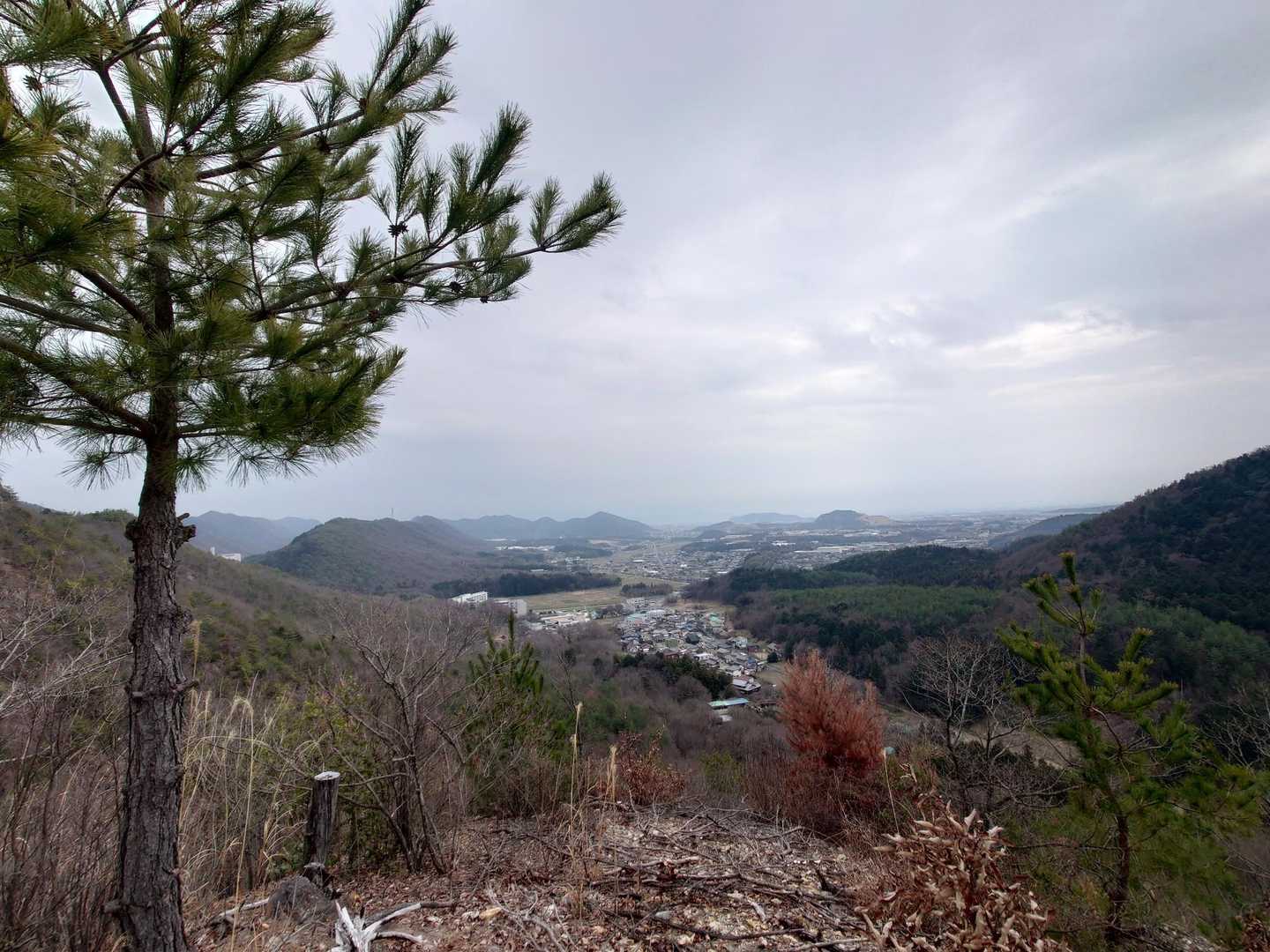 どんぐり山からの景色