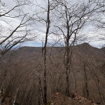 どしたらこーなる