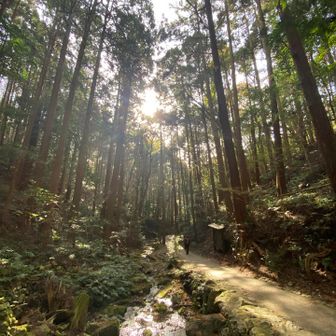近くの鸚鵡石へ向かいます🦜