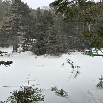 しらびそ小屋に到着