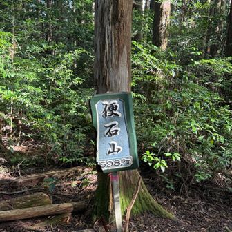 帰る途中に山頂標識見つける
鈴鹿セブンマウンテンっぽい標識
眺望は無し