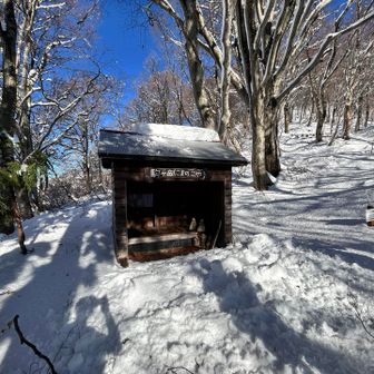 こまのこや
第一小屋発見🛖