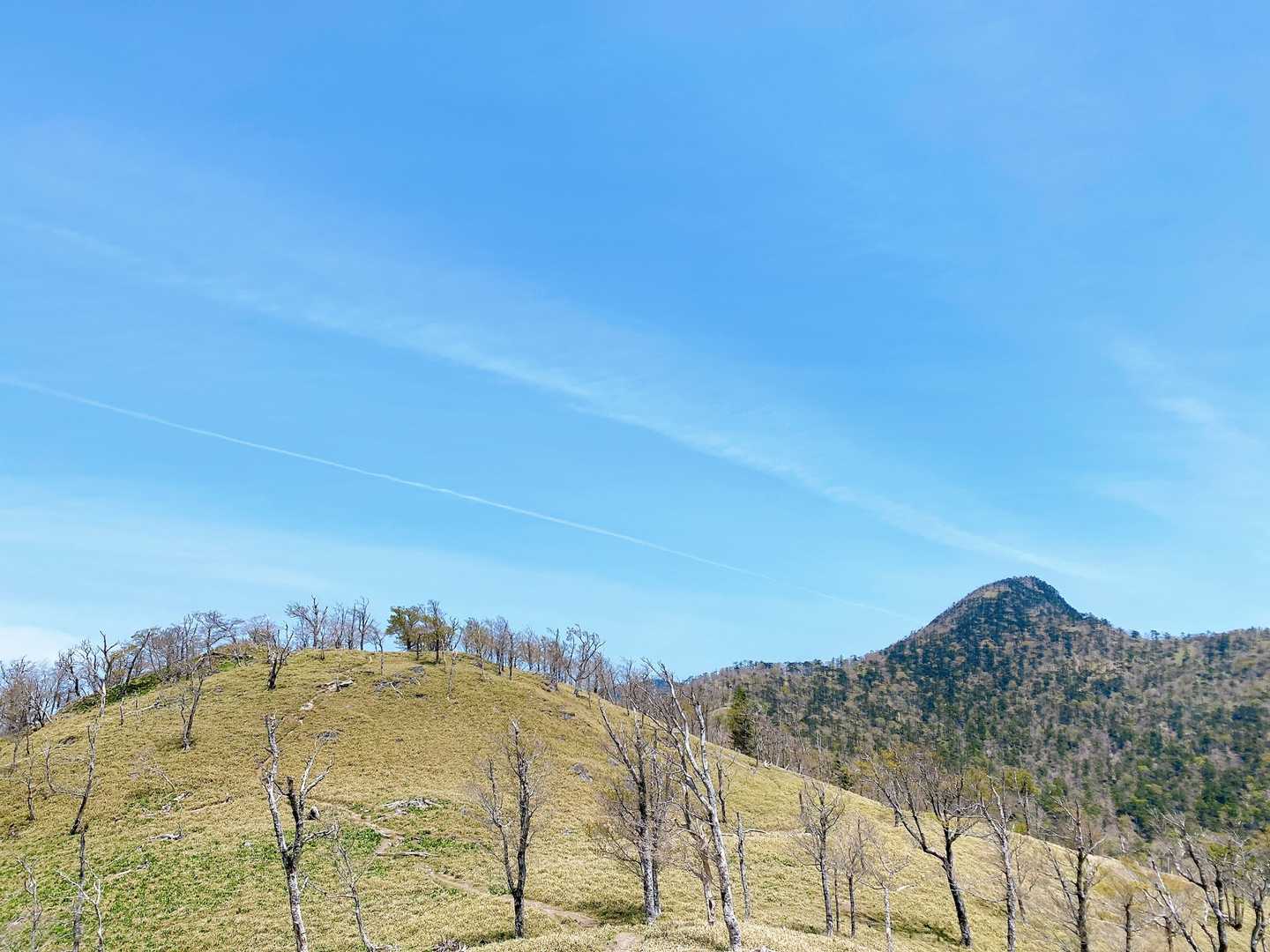 釈迦ヶ岳往復 | 360度に広がる大パノラマ。お釈迦様と奥駈道の稜線歩きの写真
