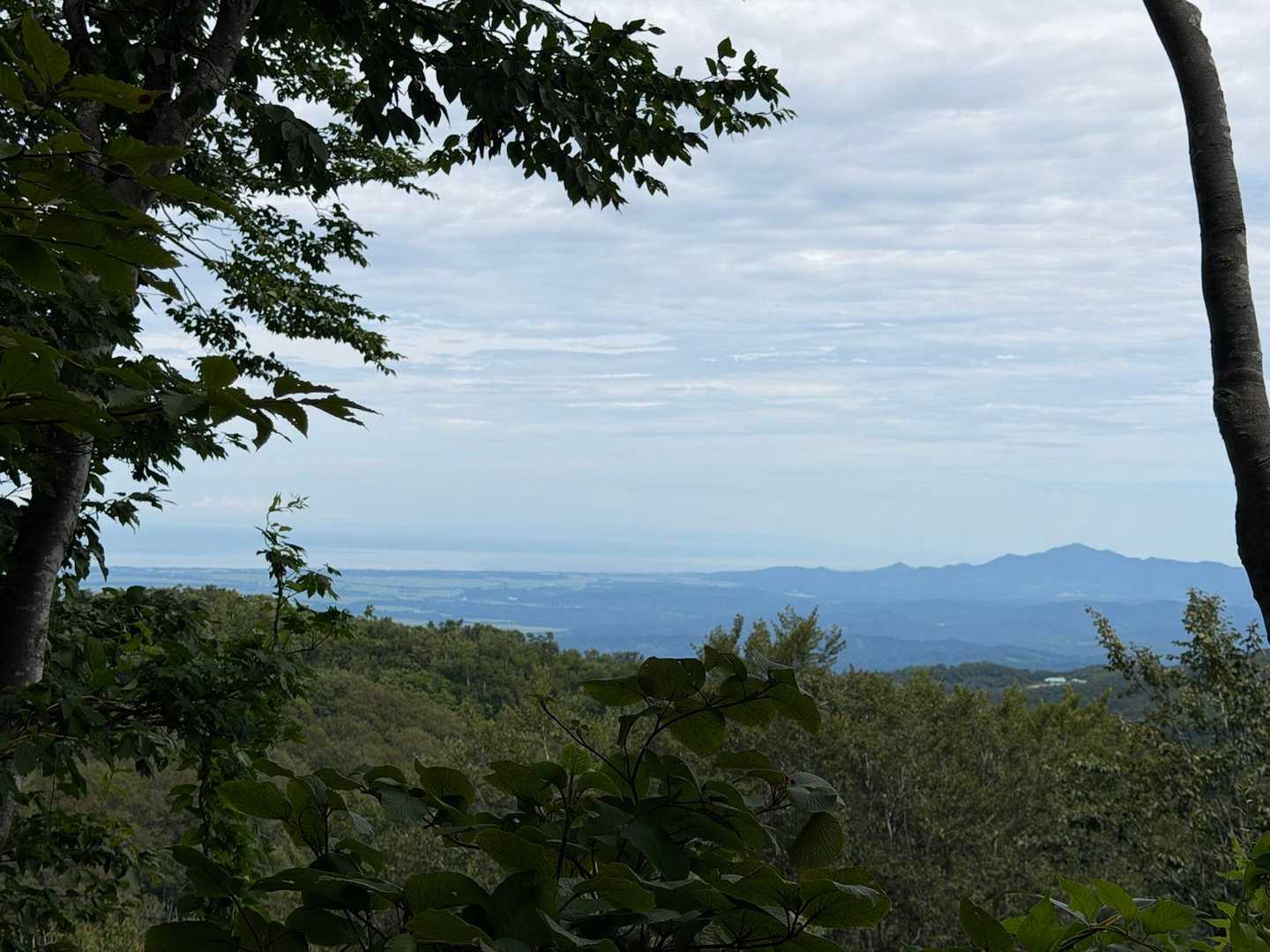 下山途中に米山と日本海みえた