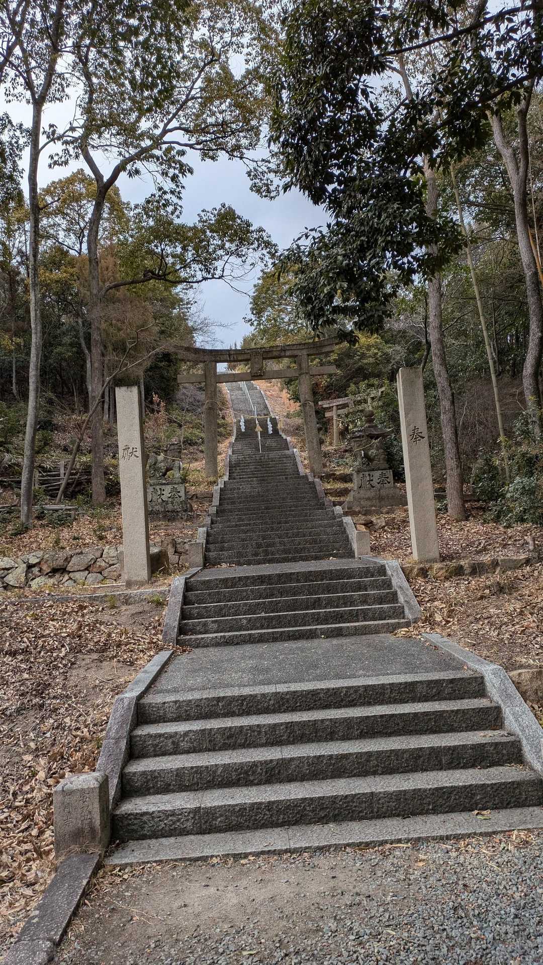 八幡神社-八幡山 往復コースの写真