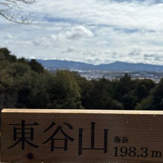 天気になって良く見渡せる