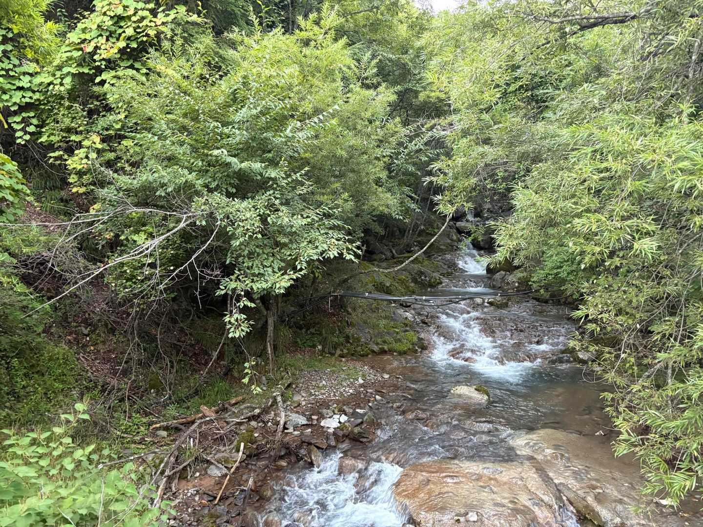 川のせせらぎw