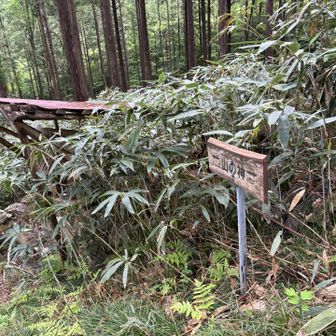 山の神さま、ありがとうございました😌

この山、トレーニングには最適ですね🏋️