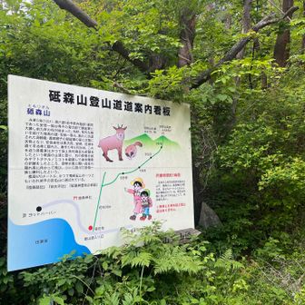 駐車場前の案内