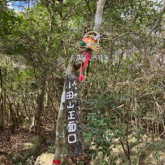 正面口にたどり着きました！駐車場まではあと少し。おつかれ山でした！