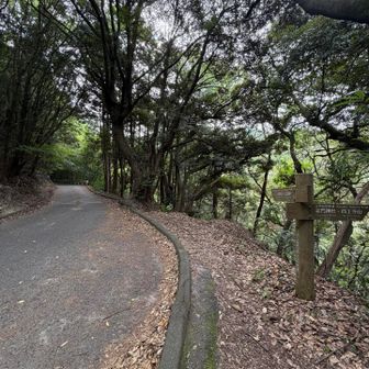 前回エスケープ地点
九州自然歩道リスタート