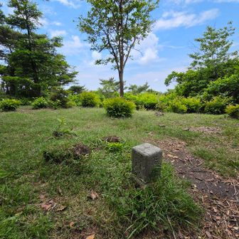 園地ポイントがえびの岳の頂だった。