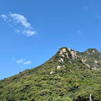 お疲れさまでしたー。
久しぶりの岩山でした。