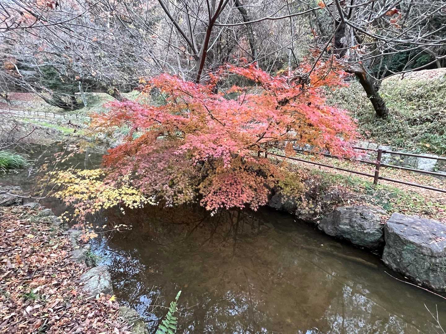 三井山登山口-三井山-ふれあいの丘 往復コースの写真