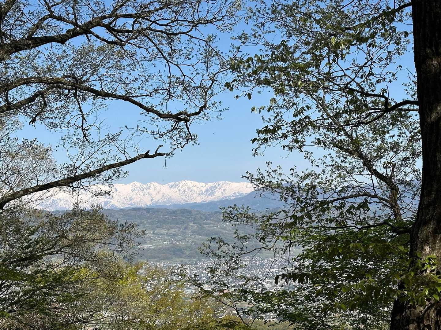 北アルプスもご機嫌✨