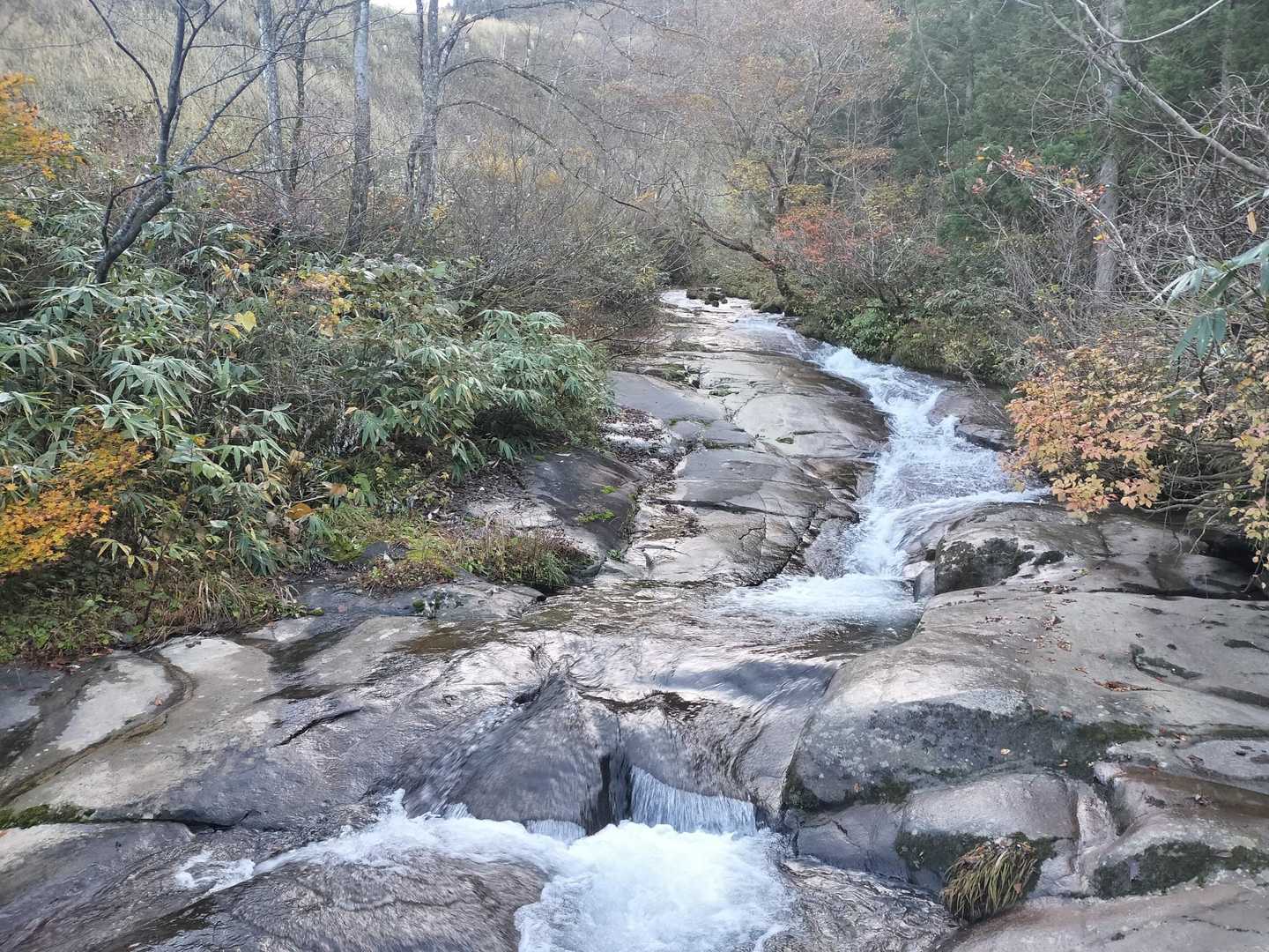 瀬戸蔵山-大品山 周回コースの写真
