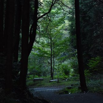 今回も良い時間だった。
でも、仕事前にしたら張り切り過ぎたかな笑