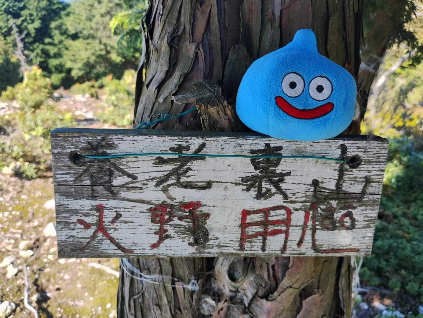 養老裏山獲ったどー＼(^o^)／