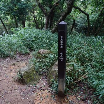 金鳥山