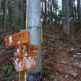 案内がしっかりあって安心です。