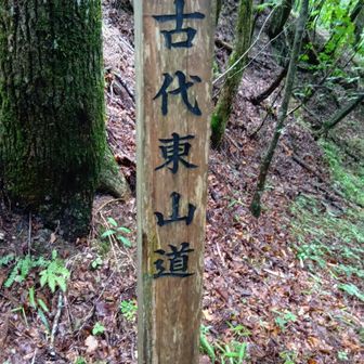 坂上田村麻呂も奥州討伐の際この道を使ったらしい

歴史オタクとしてはワクワク要素満載の山でした✨️

また花桃🌸見に来た時に登ろう