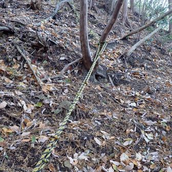 側川の頭から🩶カンザコ山目指します
低山の掟、とにかく斜度がキツイ💦
ロープありがたい