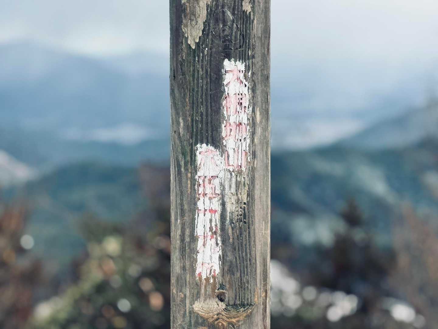 大根地山 往復コースの写真