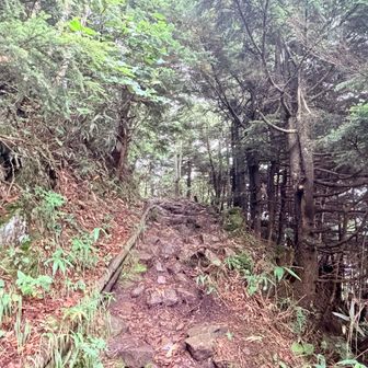 後半は岩場の道